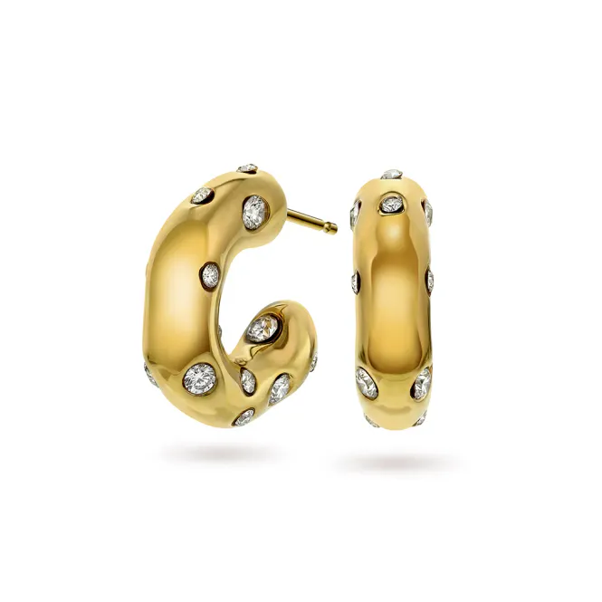 Hovedbilde Frida Leonore Starlight earrings  forgylt stål 29207
