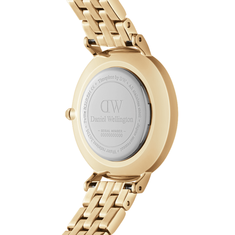 Daniel Wellington Petite Evergold 5-Link DW00100614