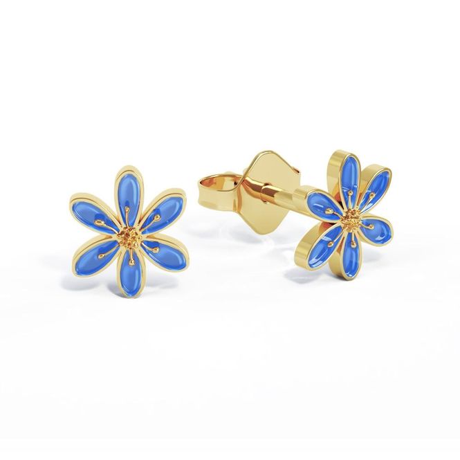 Hovedbilde Ørestikk Blåveis 710412